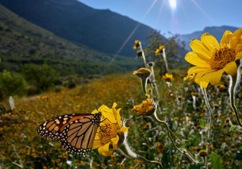 Hoy comienza la primavera en el hemisferio norte con ambiente favorable para lluvias en RD