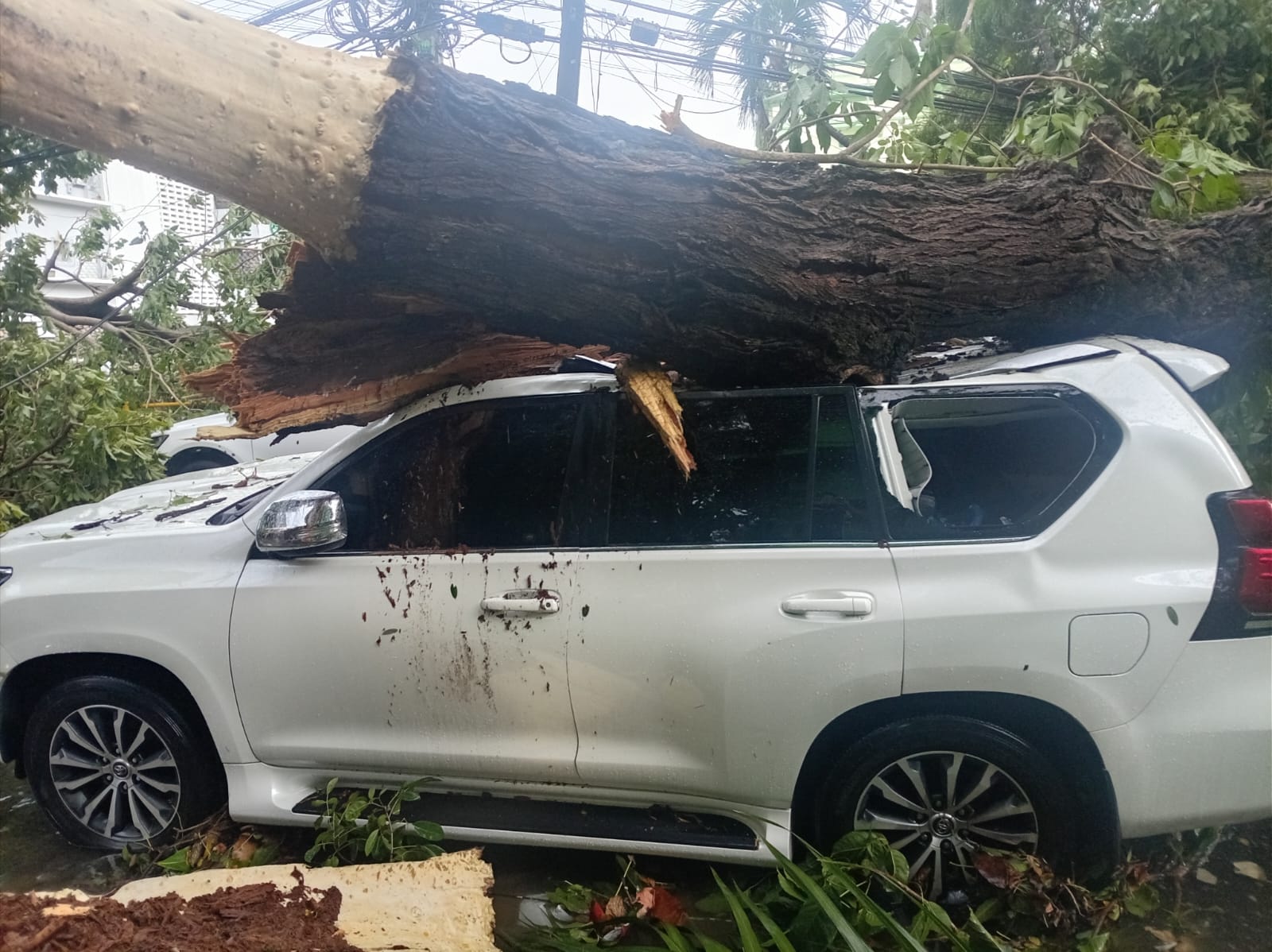 Fuertes lluvias, granizadas y caídas de árboles provocan daños en varias zonas del país este lunes