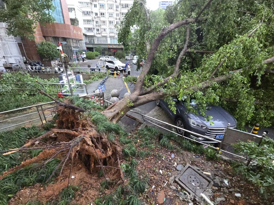 Tifón Dolphin deja lluvias récord y más de 1,6 millones de evacuados en China