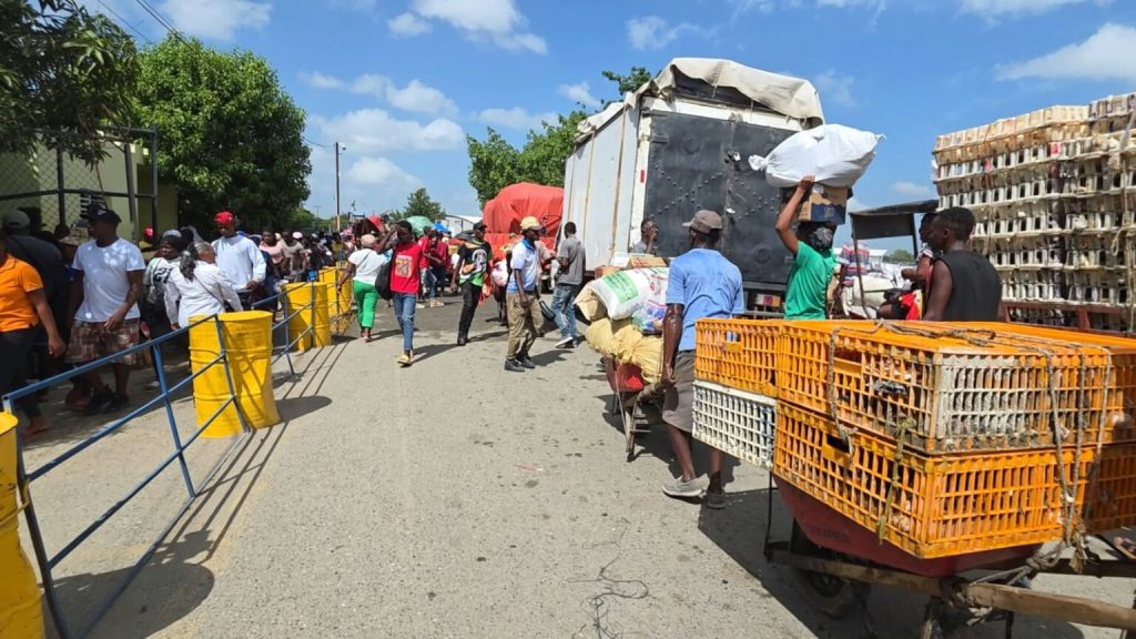 Impiden entrada de carnes y pieles desde Haití de “procedencia dudosa” por alerta de ántrax
