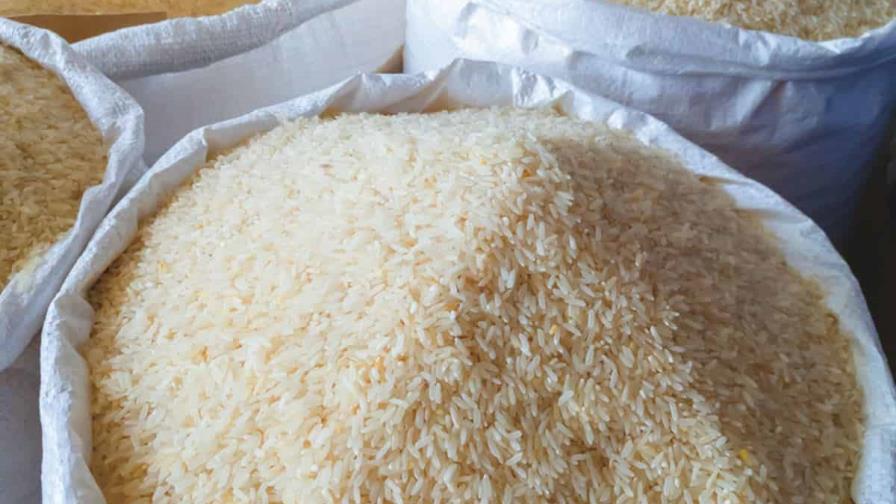 Gobierno dominicano: proteger el arroz ante EE.UU. es una «cuestión de seguridad nacional»