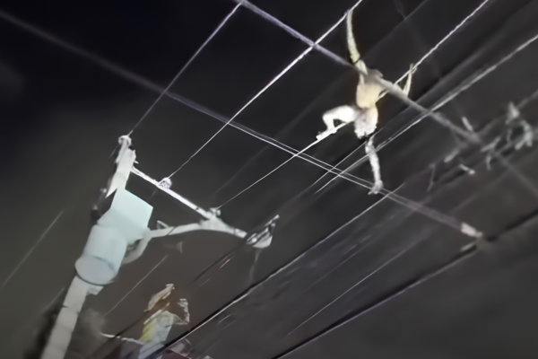 Bomberos rescatan “acróbata improvisado” en tendido eléctrico de Santiago
